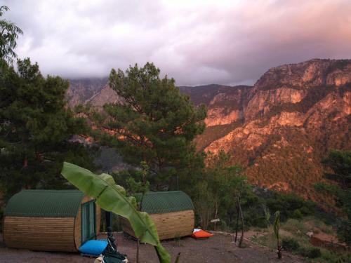 Mandala Camping