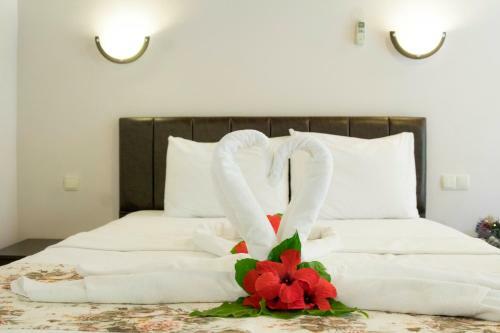 Hostal Suna House