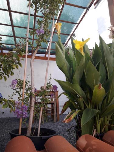 Hostal Madra House