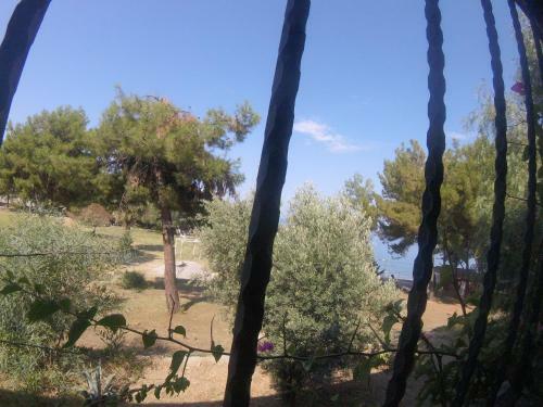 Rainbow Bay Ozdere Beach Hotel
