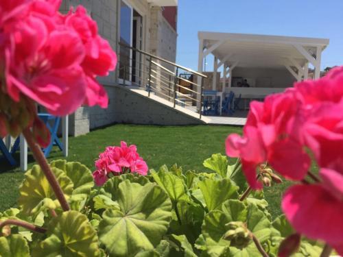 Hotel Allegria Butik Otel