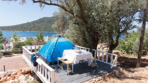 Can Tent Camping