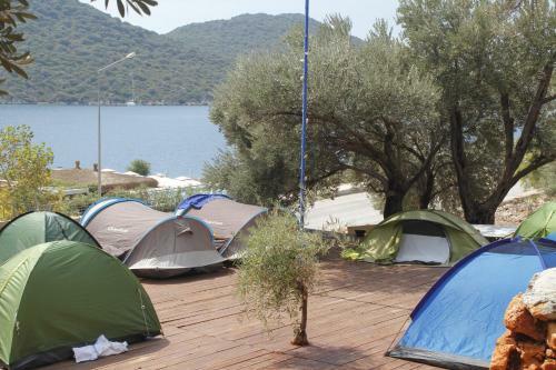 Can Tent Camping