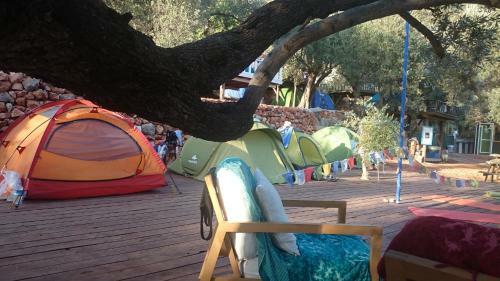 Can Tent Camping