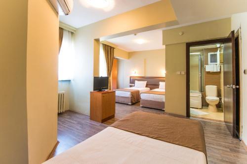 Hotel Temizay