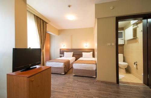 Hotel Temizay