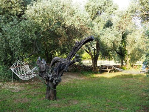 Hotel Emel Pension