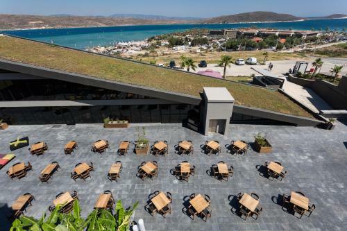 The S, Ascend Hotel Collection