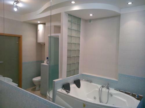 Ok Apartments Basseinaya Area - Kiev