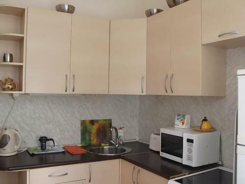 Ok Apartments Basseinaya Area - Kiev