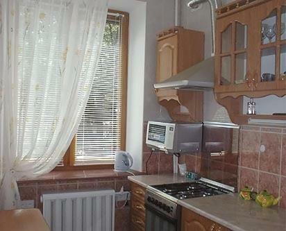 Ok Apartments Basseinaya Area - Kiev
