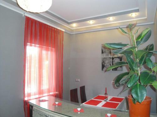 Hostal Assol