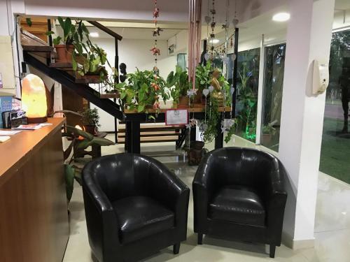 Aparthotel Armon�a Aparts