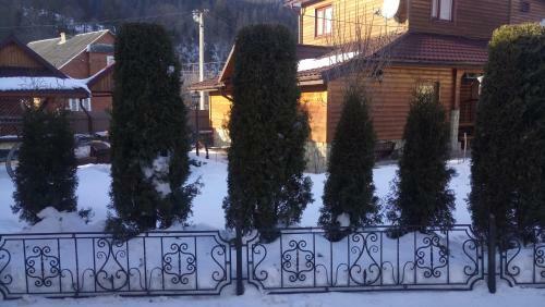 Hatyna Myslyvca