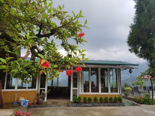 Cat Cat Garden Hotel