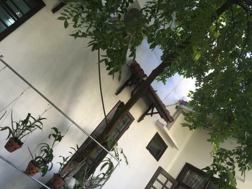Sake Homestay