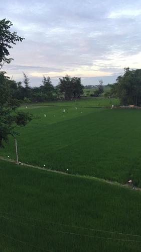 Bi's House Homestay