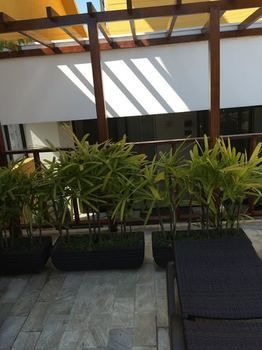Apartamento Flats S�o Paulo - Moema