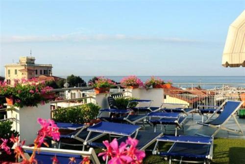 Hotel Daisy