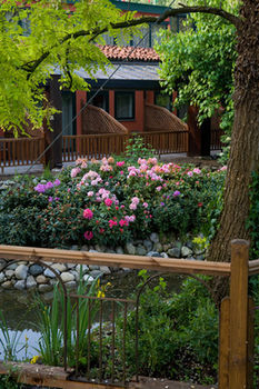 Hotel Cascina Scova Resort