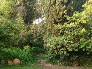 Bed & Breakfast Villa Finzi