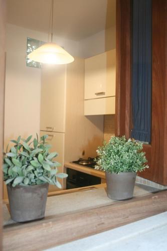 Apartamento Il Cortile Fiorito