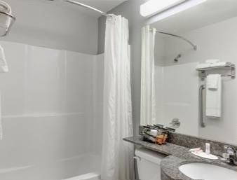 Hotel Microtel Inn & Suites By Wyndham Hoover/birmingham