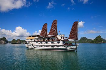 Paloma Cruise
