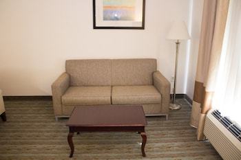 Hotel Holiday Inn Express West Jefferson