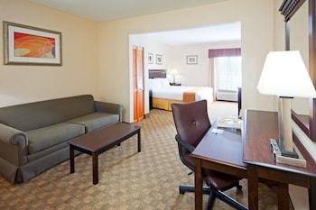 Holiday Inn Express Hotel & Suites Carneys Point