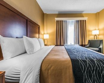 Hotel Comfort Inn Aikens Center