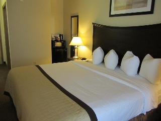 Hotel Baymont Inn & Suites Snyder