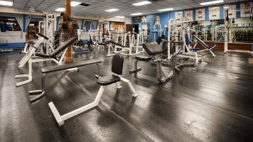 Best Western Plus Deer Park Hotel & Suites