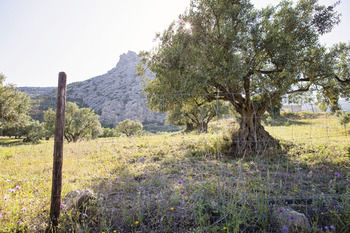 Hotel El Refugio De Alamut