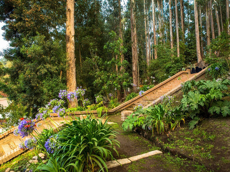 Hotel Bosques De Re�aca