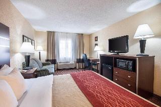 Hotel Comfort Inn Near Grand Central Mall