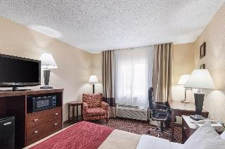 Hotel Comfort Inn Near Grand Central Mall