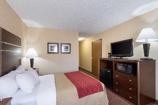 Hotel Comfort Inn Near Grand Central Mall