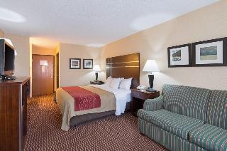 Hotel Comfort Inn Near Grand Central Mall
