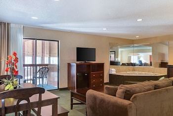 Hotel Comfort Inn Near Grand Central Mall
