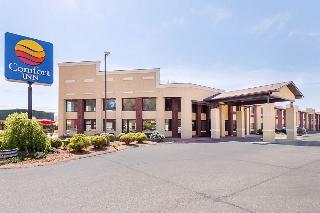 Hotel Comfort Inn Near Grand Central Mall