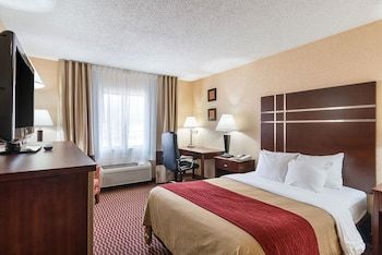 Hotel Comfort Inn Near Grand Central Mall