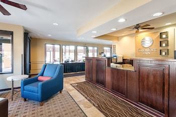 Hotel Comfort Inn Near Grand Central Mall