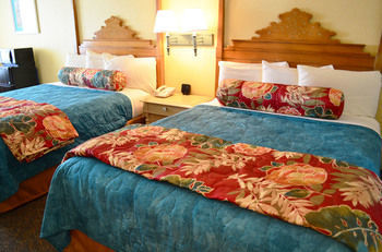 Hostal Sun Viking Lodge