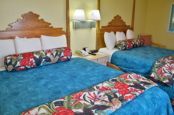 Hostal Sun Viking Lodge