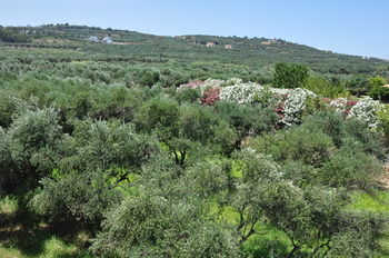 Hotel Eria Resort Accessible Holidays