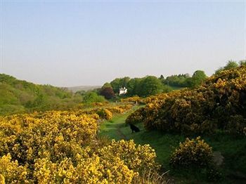 Bed & Breakfast Lydgate House Hotel