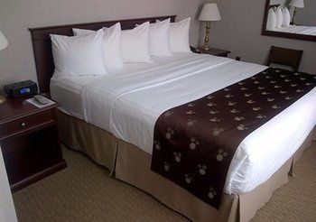 Hotel Quality Inn & Suites Downtown