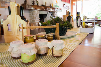 Agroturismo Agriturismo Ca' De' Gatti