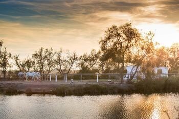 Hotel Mas De La Fouque H�tel & Spa
